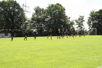 benefiz-023-2017-07-23