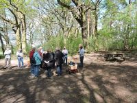 20190427bosseltour0042